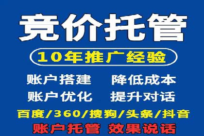 百度竞价公司案例分析：优化策略全解析